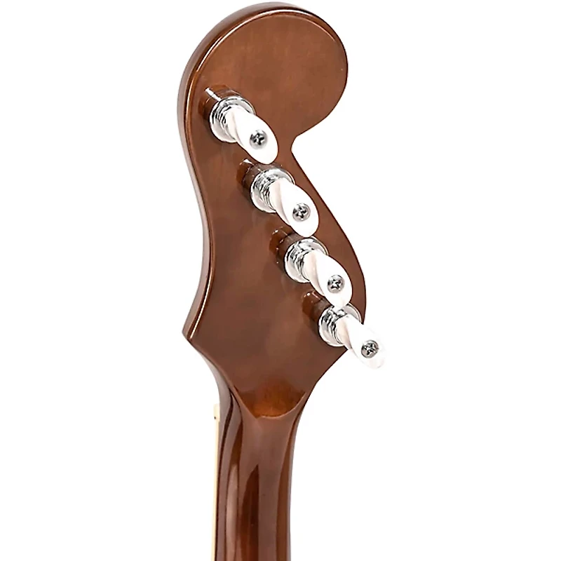 Gold Tone Banjola+ Woodbody Banjo Gloss Natural