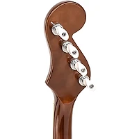 Gold Tone Banjola+ Woodbody Banjo Gloss Natural