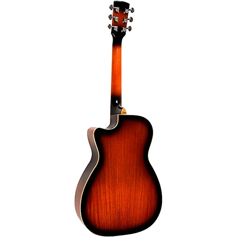 Gold Tone PBR-CA Paul Beard Signature-Series Roundneck Resonator Guitar with Cutaway Tobacco Sunburst