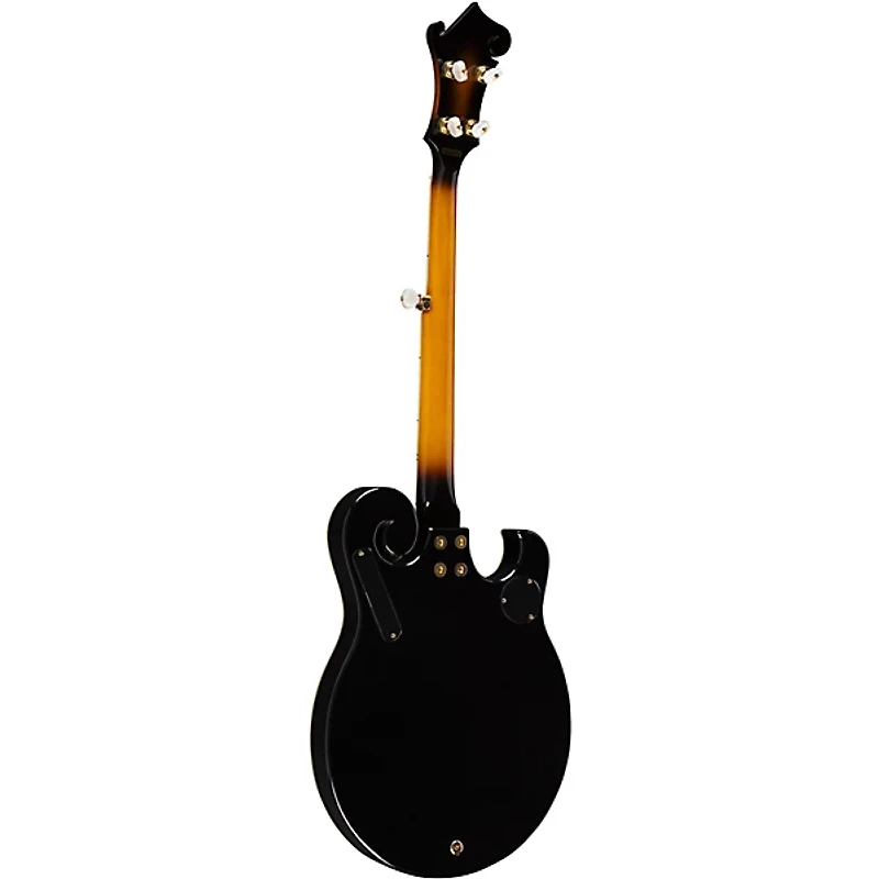 Gold Tone EBM-5 Electric Solidbody 5-String Banjo For Left Hand Players Sunburst