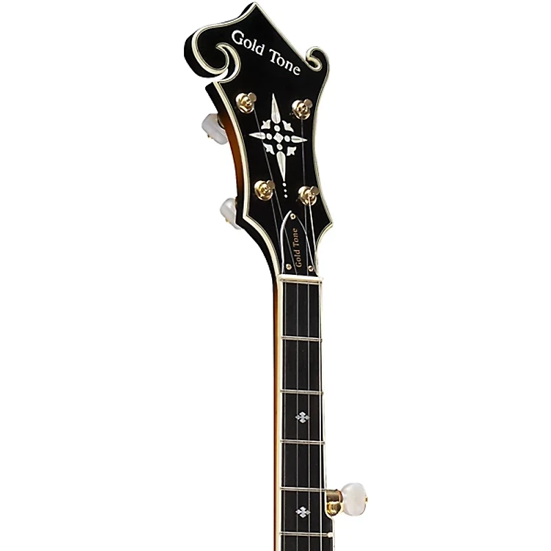 Gold Tone EBM-5 Electric Solidbody 5-String Banjo For Left Hand Players Sunburst