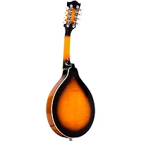 Gold Tone A-Style Mandolin with Pickup Tobacco Sunburst