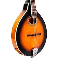 Gold Tone A-Style Mandolin with Pickup Tobacco Sunburst