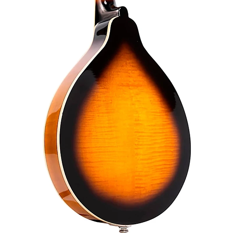 Gold Tone A-Style Mandolin with Pickup Tobacco Sunburst
