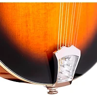 Gold Tone A-Style Mandolin with Pickup Tobacco Sunburst