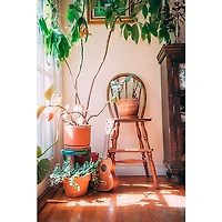 Kala Satin Mahogany Soprano Ukulele