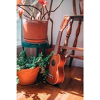 Kala Satin Mahogany Soprano Ukulele