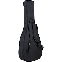 Ortega Family Series R122 Classical Guitar Satin Natural