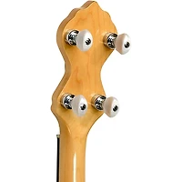 Gold Tone Maple Mountain Openback Banjo Gloss Natural