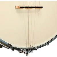 Gold Tone Maple Mountain Openback Banjo Gloss Natural