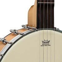 Gold Tone Maple Mountain Openback Banjo Gloss Natural