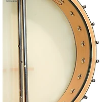 Gold Tone Maple Mountain Openback Banjo Gloss Natural