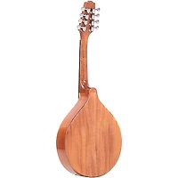 Gold Tone Traditional Irish Mandola with Case Gloss Natural
