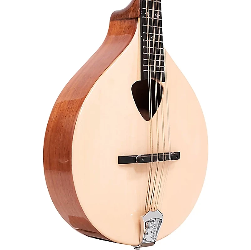 Gold Tone Traditional Irish Mandola with Case Gloss Natural