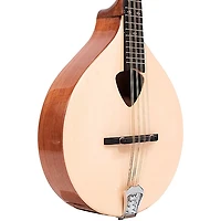 Gold Tone Traditional Irish Mandola with Case Gloss Natural