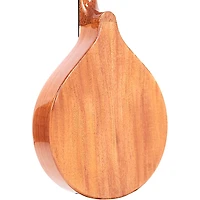 Gold Tone Traditional Irish Mandola with Case Gloss Natural