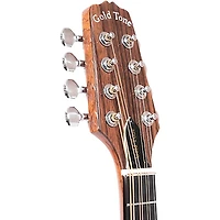 Gold Tone Traditional Irish Mandola with Case Gloss Natural