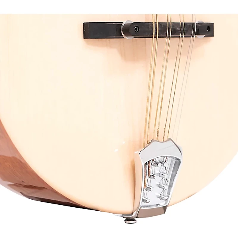 Gold Tone Traditional Irish Mandola with Case Gloss Natural