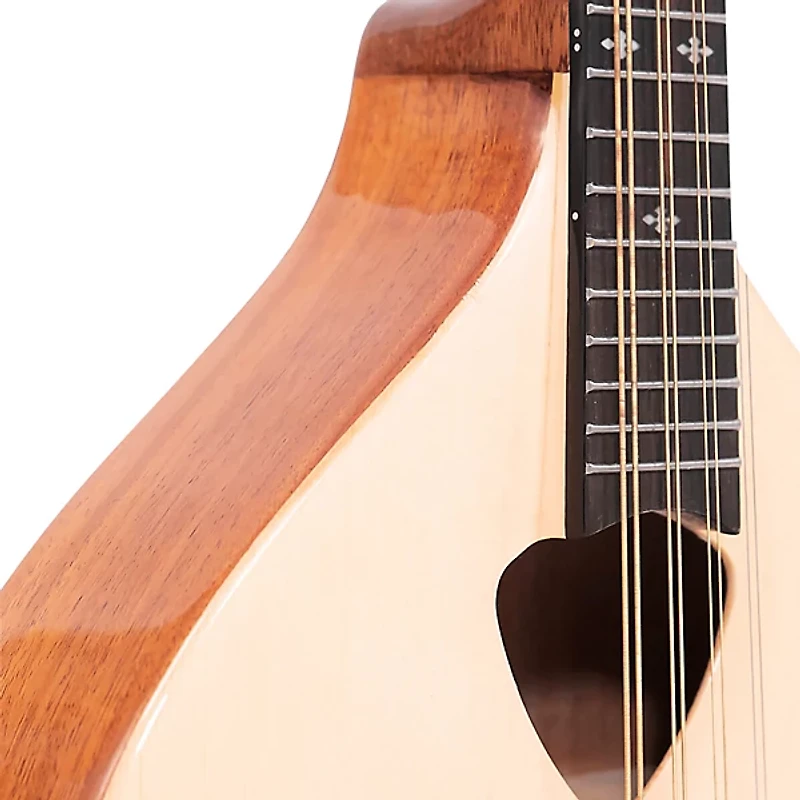 Gold Tone Traditional Irish Mandola with Case Gloss Natural