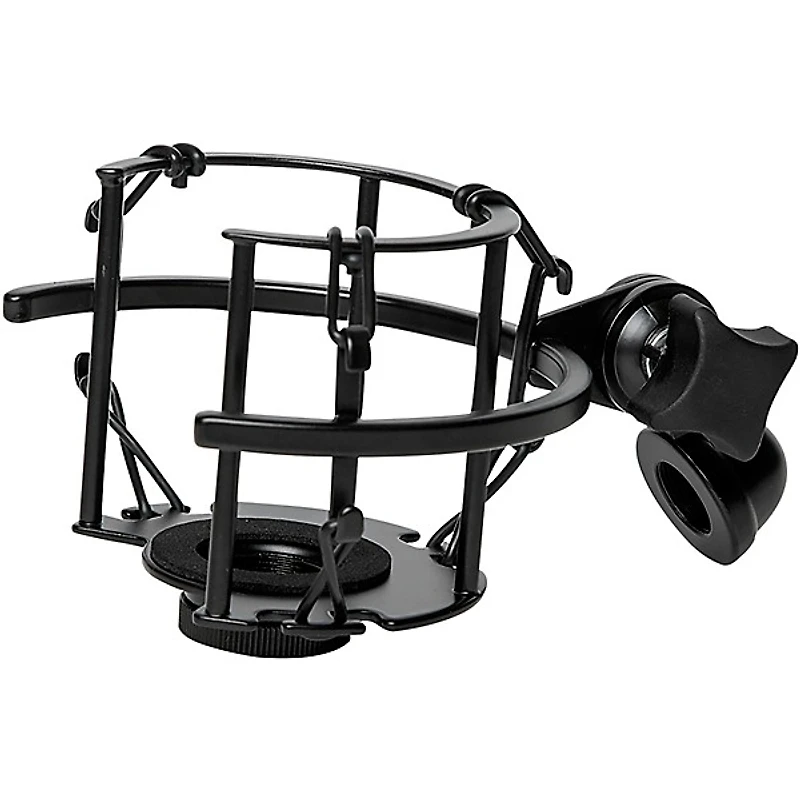 TELEFUNKEN TF51 Tube Microphone