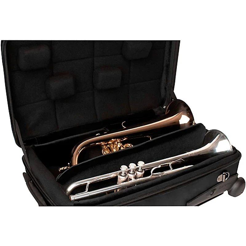 Protec Single/Double/Triple Horn ZIP ABS Case