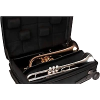 Protec Single/Double/Triple Horn ZIP ABS Case