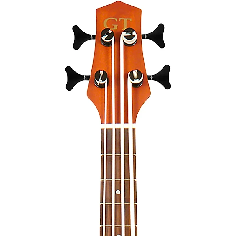 Restock Gold Tone 23-Inch Scale Left-Handed Acoustic-Electric MicroBass with Gig Bag