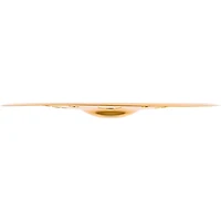MEINL HCS Trash China Cymbal