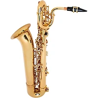 Allora ABS-450 Vienna Series Baritone Saxophone Lacquer Lacquer Keys