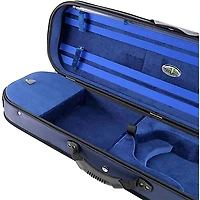 J. Winter Violin Oblong Case Greenline