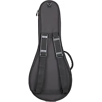 Road Runner Avenue II Mandolin Gig Bag Black