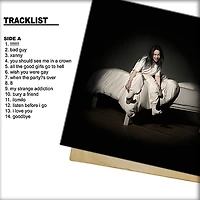 Billie Eilish - WHEN WE ALL FALL ASLEEP, WHERE DO WE GO? Vinyl LP