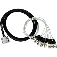 Rapco Horizon DA88XF - Analog DB25-XLRF Patch Snake 10 ft.