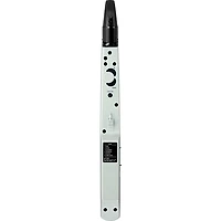Roland AE-01 Aerophone mini Digital Wind Instrument