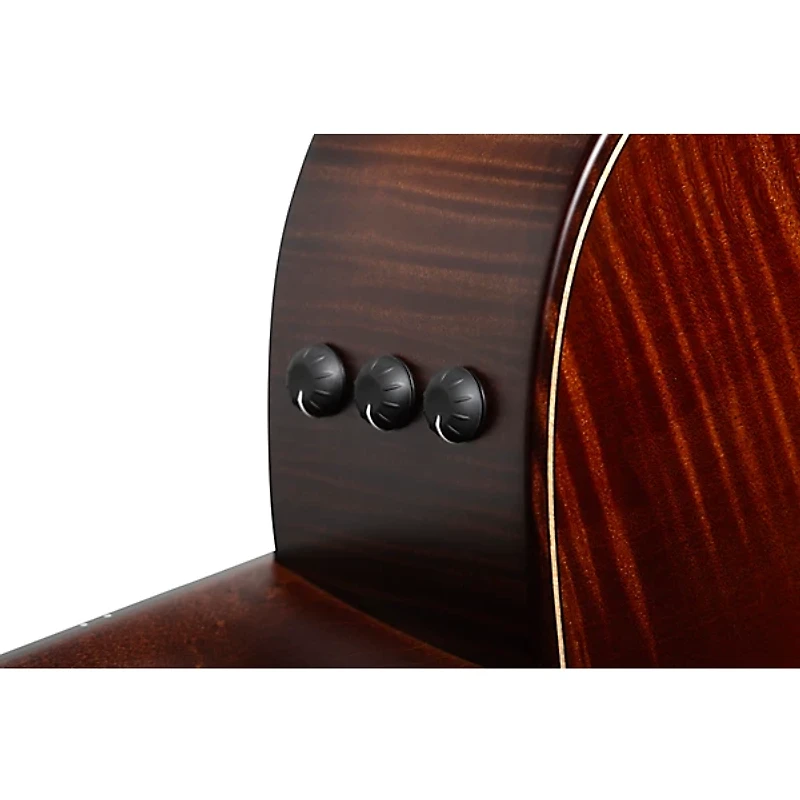 Taylor Builder's Edition 614ce V-Class Grand Auditorium Acoustic-Electric Guitar Wild Honey Burst