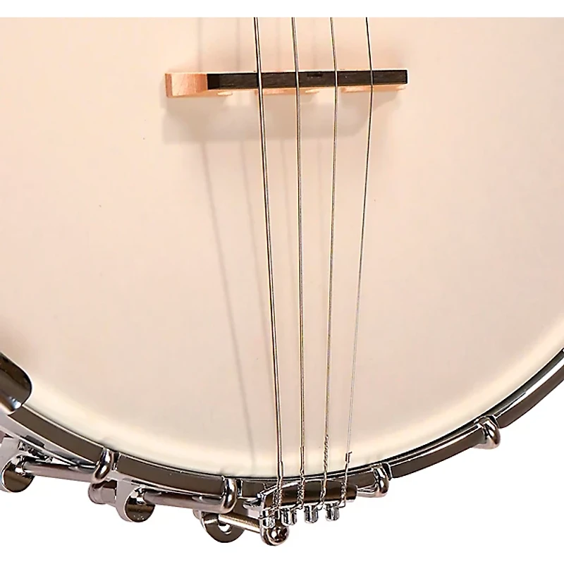 Gold Tone IT-250 4-String Irish Tenor Open-Back Banjo Natural