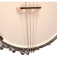 Gold Tone IT-250 4-String Irish Tenor Open-Back Banjo Natural