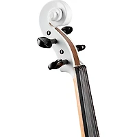 Rozanna's Violins Snowflake II Series Violin Outfit 3/4