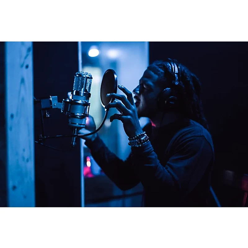 Lauten Audio Eden LT-386 Multi-Voicing Large-Diaphragm Vacuum Tube Condenser Microphone