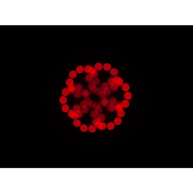 American DJ Focus Spot 5Z LED Light