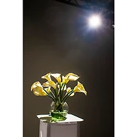 American DJ Saber Bar 6 White LED Pin Spot System