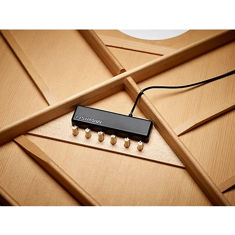 Fishman PowerTap Earth - Body Sensor with Soundhole Pickup Black