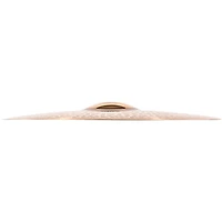 MEINL Pure Alloy Custom Medium Thin Crash