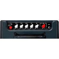 Laney Laney. Cub Super 10 Combo