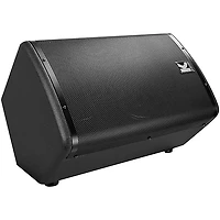 Kustom PA KPX10 Passive Monitor Cabinet