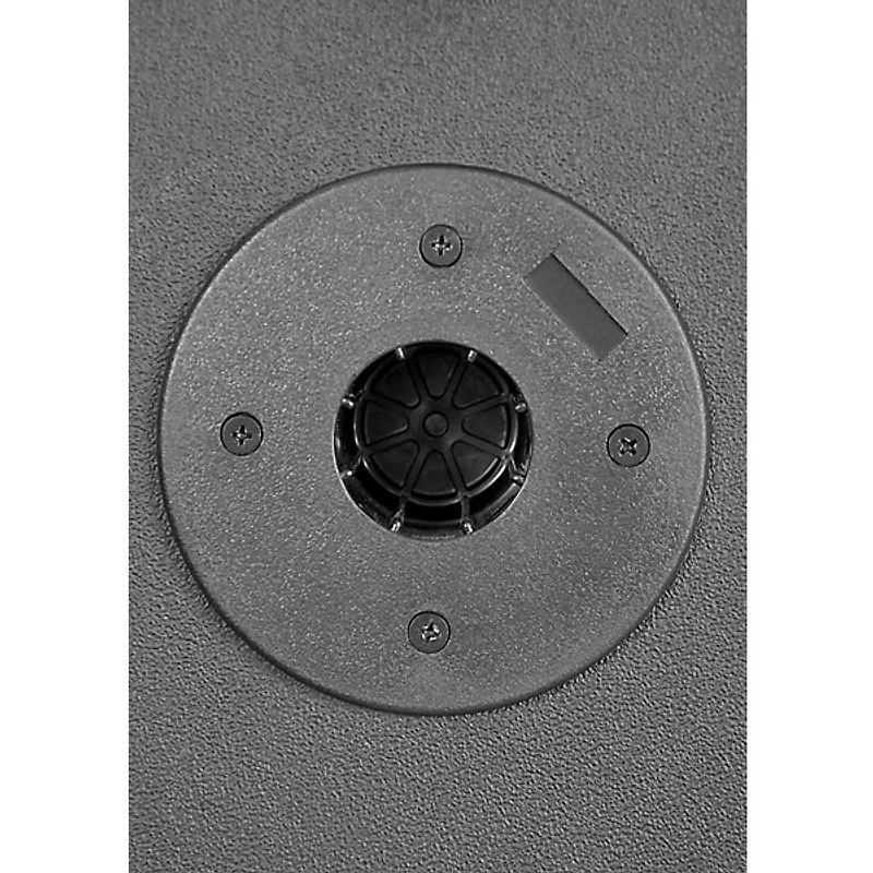 Kustom PA KPX10 Passive Monitor Cabinet
