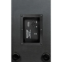 Kustom PA KPX10 Passive Monitor Cabinet