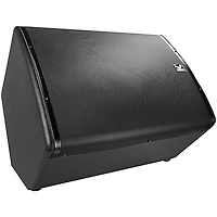 Kustom PA KPX15 Passive Monitor Cabinet