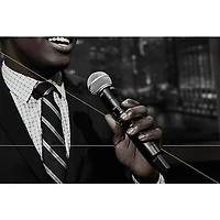 Shure SLXD24/B87A Wireless Microphone System Band J52