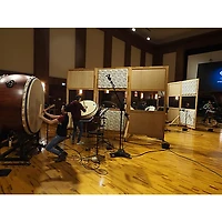 Vienna Symphonic Library BBO: Eridanus - Percussion Riffs (Download)